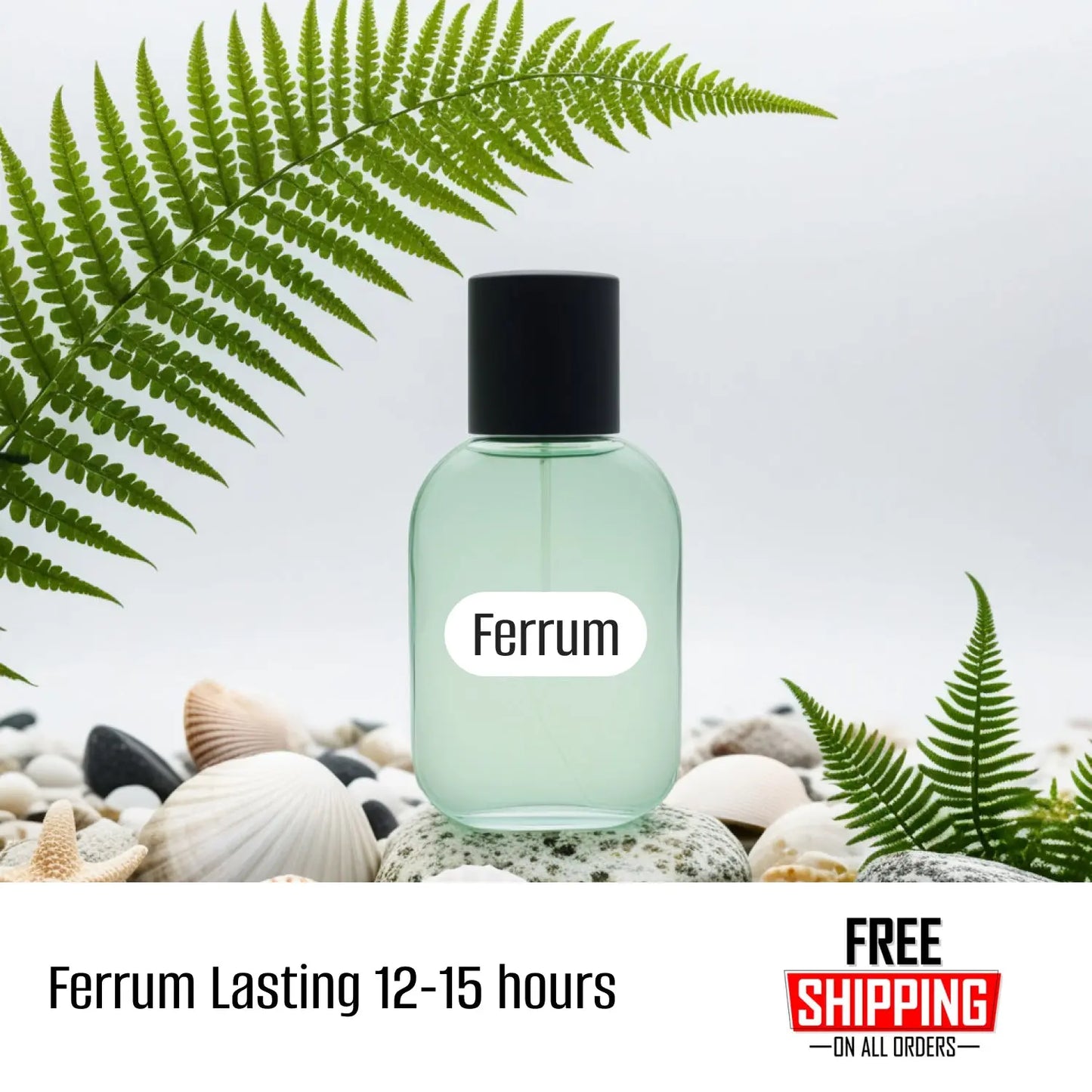 perfume-bottle-50ml-transparent-on-stone-coverd-with-green-leaves-and-seashells